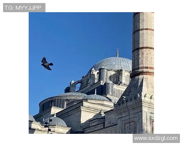 巴黎与伊斯坦堡的文化交融与历史碰撞之旅