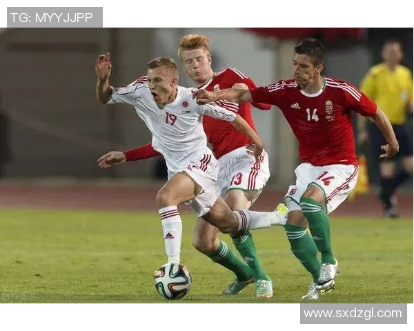 本特利与西悉尼的精彩对决分析及赛前预测分享