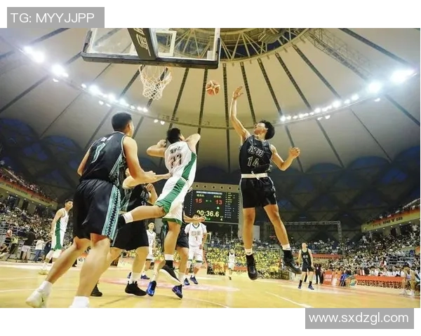 常规赛精彩对决浙江队迎战辽宁队争夺季后赛席位的关键战役