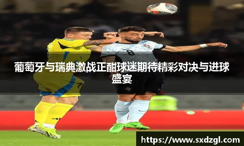 葡萄牙与瑞典激战正酣球迷期待精彩对决与进球盛宴