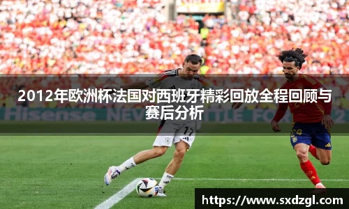 2012年欧洲杯法国对西班牙精彩回放全程回顾与赛后分析